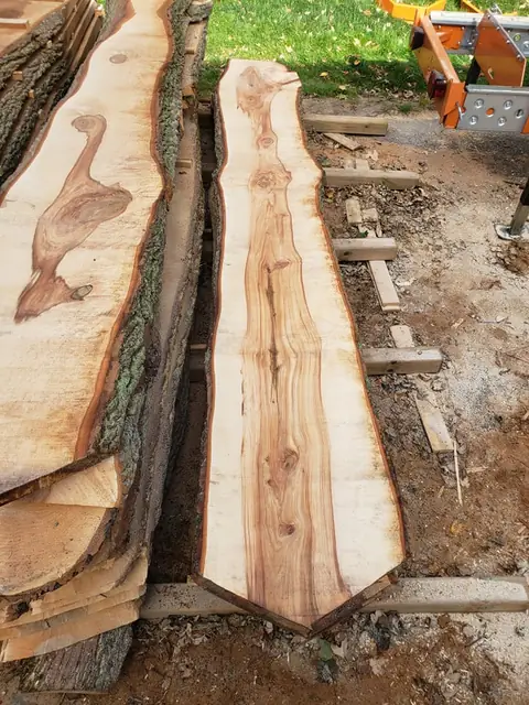 Slabs milled from the 100-year-old Norway Maple