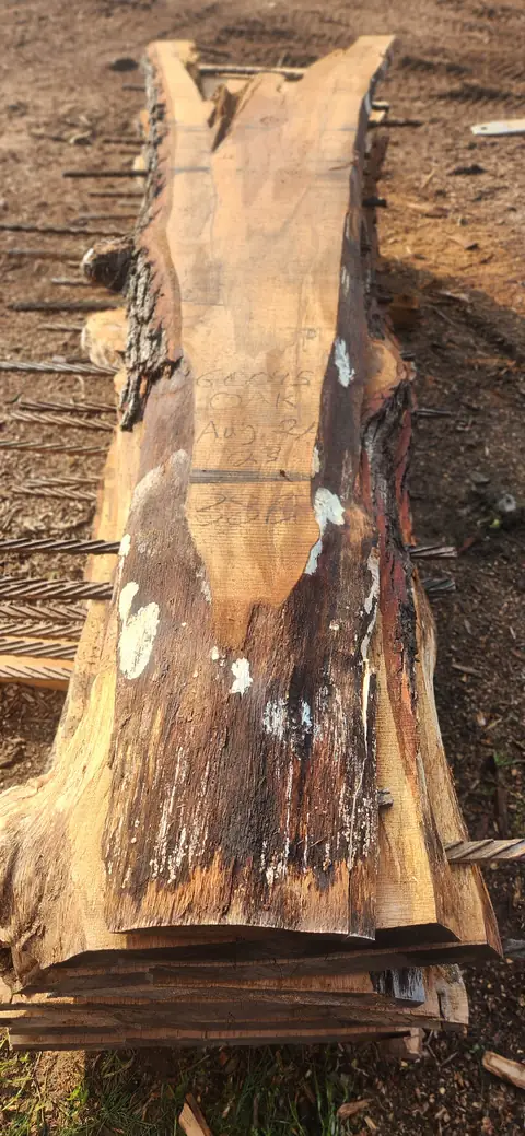 Oak live edge slab with a chalk tag