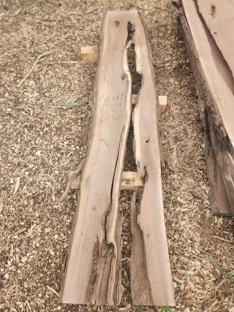 Walnut live edge slabs side by side