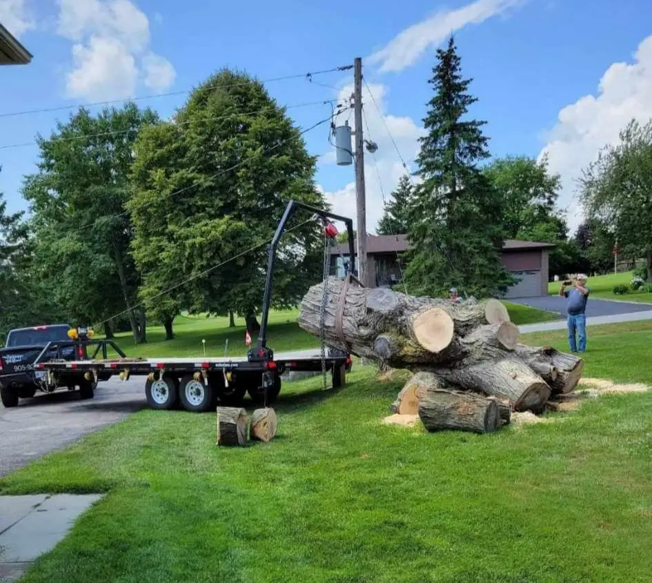Large logs being loaded onto a flatbed trailer