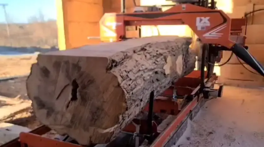 A large maple log on the Woodmizer XL250 sawmill