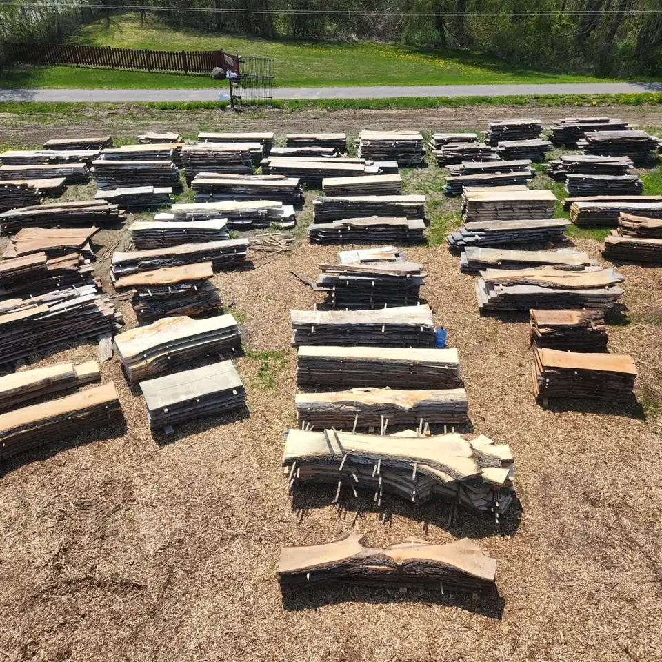 Rows of live edge slabs laid out across the yard, seen from above